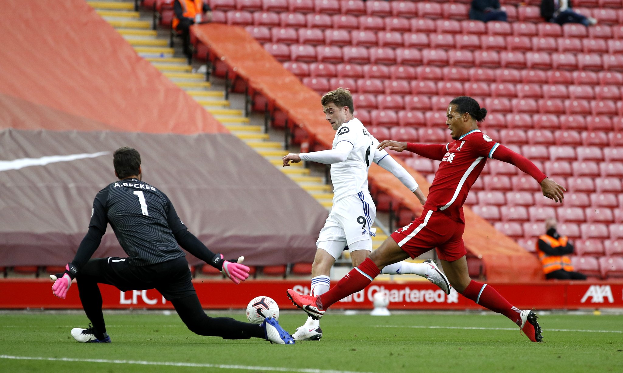 发展的多样 发展的多样