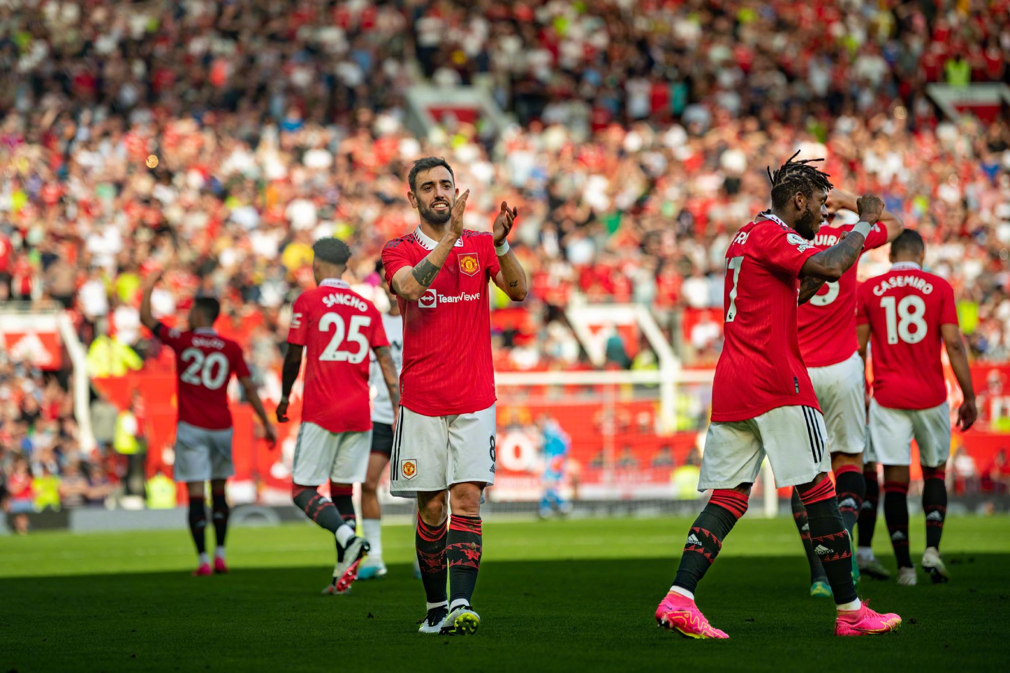 塞鸟作为球 塞鸟作为球